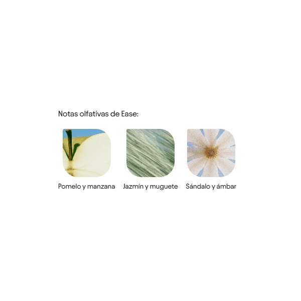 OLISTIC BRUMA EASE THE HAIR MIST 30 ML 2