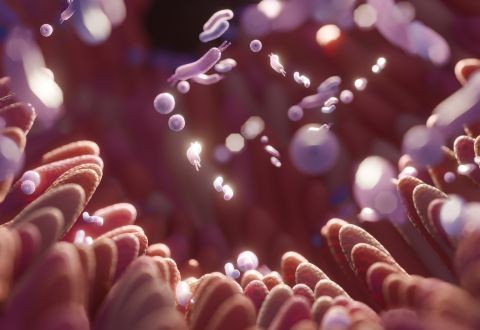 Microbiota Intestinal: El Segundo Cerebro que Impulsa tu Inmunidad